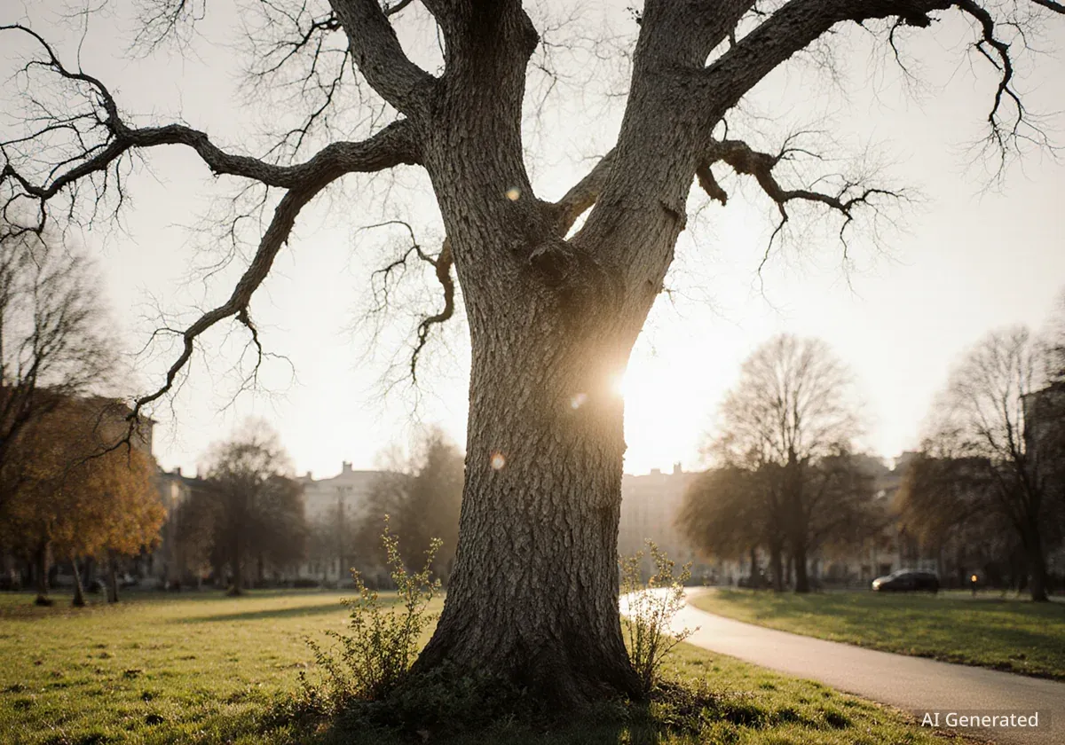 Winterthur lässt tote Bäume für die Natur stehen
